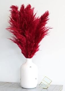 Royal Sapphire pampina grass 24 inches branches of dried red grass for arrangement.. Make shopping fun and stress-free with DIAYTAR Nigeria.