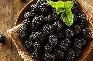 Blackberry plant seeds 10.. Your home for smart shopping — DIAYTAR Nigeria delivers fast and cheap.