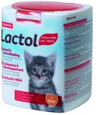 Beaphar Lactol Complete Replacement milk for newborn kittens - 500 g.. Navigate countless options with DIAYTAR NIGERIA's comprehensive marketplace and budget-friendly shipping.