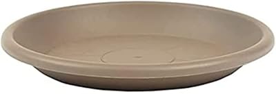 Gremotion Mira 29 cm round plates saucer for UV -resistant plants and.. DIAYTAR Nigeria: Shopping that fits your budget and your schedule.