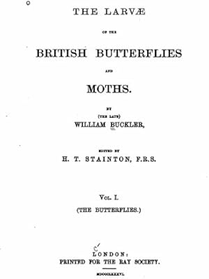 British butterflies larvae.. DIAYTAR Nigeria: Your one-stop online shop with unbeatable prices and nationwide delivery in under 8 days.