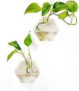 2 rooms decoration wall accessories for the geometric hexagonal glass vase to stick on the wall flower/vase for hydroponic plants.. Discover unbeatable variety on DIAYTAR Nigeria — shop today, delivered this week.