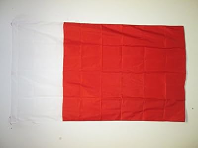 Az Flag Dubai flag 3 x 5 feet for mast - Dubai emirate flags 90 x 150 cm - 3 x 5 feet banner with hole.. Discover the perfect balance of selection and value with DIAYTAR NIGERIA's nationwide e-commerce platform.
