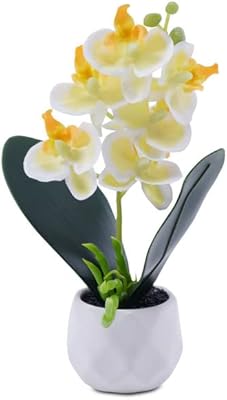 Ceramic pot for orchid plants of Emirates, 20 cm high - Yellow.. Nigeria's most loved e-commerce platform delivers affordable shopping solutions to your doorstep.