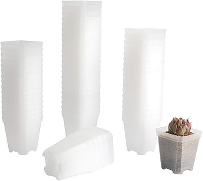 Banjiao Lot of 60 small square plastic jars of 2.70 ", planting pot to start and transplant plants with drainage hole for the germination of seeds, transparent.. Enjoy low prices, wide selections, and reliable delivery with DIAYTAR Nigeria.