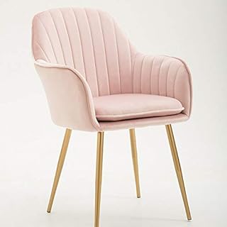 Jeico luxury dining chairs, soft matt fabric and golden stainless steel feet, restaurant, living room, office, hotel (pink).. Easy checkout, quick delivery — shop now on DIAYTAR Nigeria.