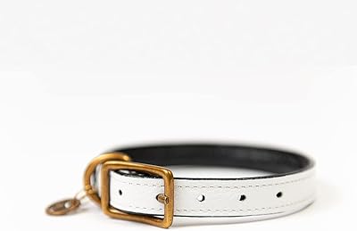 Digg leather dog necklace (white/black, xs).. Transform how you shop with DIAYTAR NIGERIA's vast selection and budget-friendly delivery options.