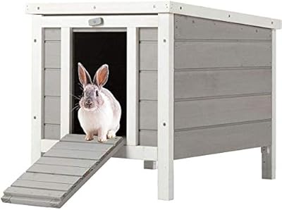 Bunny business hiding place in cats, puppies, rabbits and guinea pigs - 50 x 42 x 43 cm (gray).. DIAYTAR NIGERIA: Bringing the marketplace to every Nigerian with affordable prices and quick delivery.