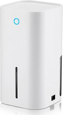 Déhumidifier and air purifier 2 in 1, Silent portable air dryer for the house, adapted to the basement, the bedroom, the kitchen, the living room, the cabinet.. DIAYTAR NIGERIA: Where every shopping need is met with affordable prices and reliable 5-8 day delivery.