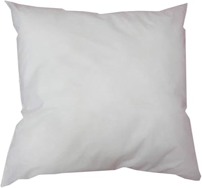 Regency cushion pad, size 45 x 45 cm, white color.. Need it fast? Need it cheap? Choose DIAYTAR Nigeria.