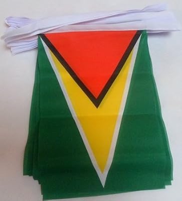AZ FLAG GUIRLAND 6 meters 20 Flags 9 '' X 6 '' - Guyanese flags with strings 15 x 21 cm.. DIAYTAR NIGERIA: Where shopping is affordable, selection is vast, and delivery is always reliable.