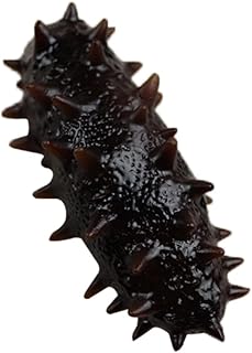 Realistic artificial toyvian sea cucumber ocean animal model toys for the home.. DIAYTAR NIGERIA: Where shopping is affordable, selection is vast, and delivery is always reliable.