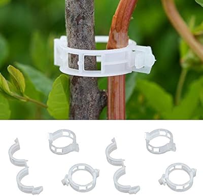 Soldouttm 20pcs Plastic plant support clips to hang plants in greenhouse garden equipment (25 mm, package of 20).. DIAYTAR NIGERIA: Your affordable shopping destination with thousands of products delivered in days.