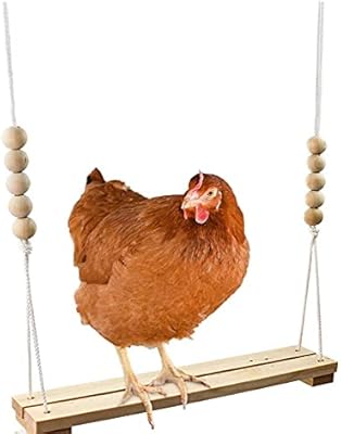 Amateur chicken swing for the chicken coop, handmade with safe natural wood accessories and a large robust scale for poultry, roosters, hens, parrots, pets, parrots, aras, relief of stress for birds.. Discover endless shopping possibilities at DIAYTAR NIGERIA, with budget-friendly prices and reliable delivery.