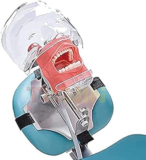Plastic educational teeth model, dental simulation model ghost head with education support (type of dental chair).. DIAYTAR NIGERIA: Where smart shoppers find everything they need at prices they can afford.
