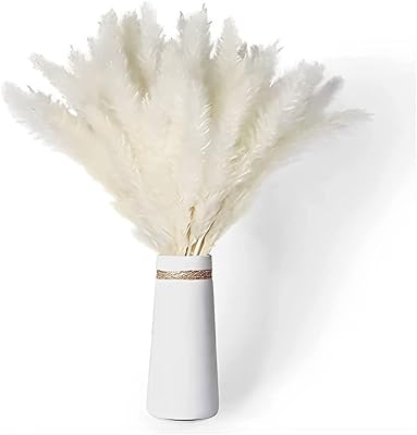 Almekaquz 10 Pieces of ostrich feathers, natural white 10-12 inches for lamp in ostrich feathers of wedding party, floral arrangement and decoration of the house.. Shop with purpose and save with DIAYTAR NIGERIA's extensive platform and nationwide delivery service.