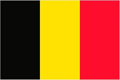 Belgian Oedim, black, yellow and red flag, 85 x 150 cm.. DIAYTAR NIGERIA transforms dreams into deliveries with our affordable prices and 5-8 day shipping.