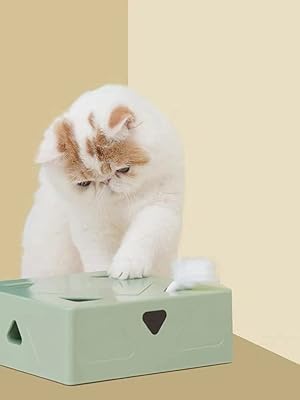 Amoi interactive toys for cats | Autonomous toy chest for interior chat ignition and stop.. DIAYTAR NIGERIA: Bringing quality products to every Nigerian home at prices everyone can afford.