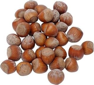 40 Seeds of Netrician Hazelni Filbert Corylus Americana Semillas Semillas Seam Seeds.. Experience the convenience of online shopping with DIAYTAR NIGERIA's reliable 5-8 day delivery service.
