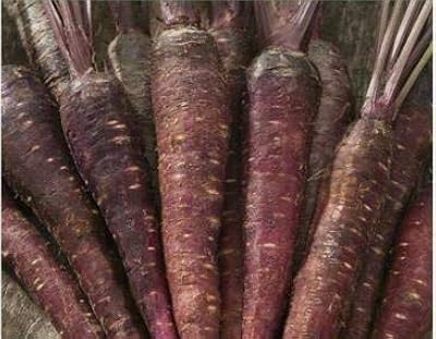 Purple Sun F1 carrot vegetable seeds.. Shop with purpose at DIAYTAR NIGERIA and receive your purchases at unbeatable prices within the week.