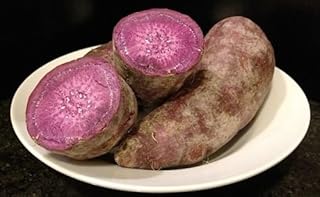 Viola Yam (winged dioscorea) 10 seeds.. Shop smarter with Nigeria's premier e-commerce platform, featuring affordable products delivered nationwide.