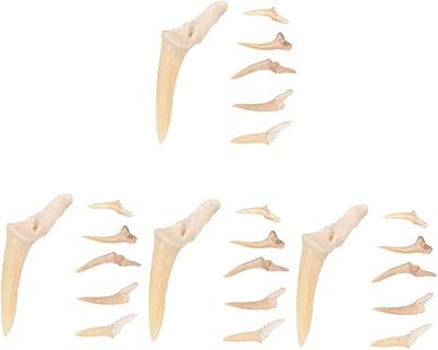 Hanabas 24 pieces in the teeth of shark done by hand, gift.. DIAYTAR NIGERIA combines affordability, variety, and convenience with nationwide delivery services.