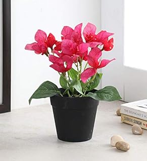 Artificial bougainvilliers flowers with four walls in a plastic pot for table decoration (20 cm, Rani).. Thousands of items, all priced just right — shop DIAYTAR Nigeria today.