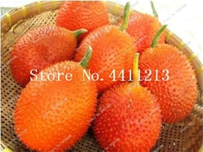 I have nine 20 pieces of bitter zucchini semi -rtaggi for gardening with a mixture of Arancia.. DIAYTAR NIGERIA: Where affordability and variety meet with convenient delivery within 8 days.