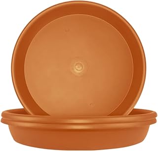 Set of 3 Illy Decor Plateaux 10 inch in durable plastic resistant to plants.. Experience retail therapy without the financial stress at DIAYTAR NIGERIA's affordable e-commerce platform.