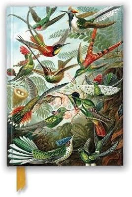 Ernst hackle: Colibris.. Shop local, shop fast — DIAYTAR Nigeria delivers across the country.