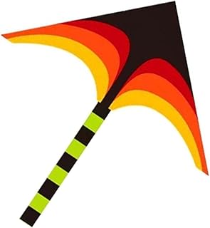 Zaltas Beach Kite 2pcs Tear Cerf-Volant with tail handle for Outdoor toy kite.. Embrace a new era of online shopping with DIAYTAR NIGERIA's extensive range and budget-friendly prices.