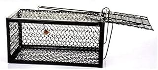 Cage trap for Ebbasley rats - Set of medium -sized cages, black.. DIAYTAR NIGERIA brings retail convenience to your screen with affordable prices and dependable shipping.