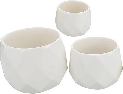 General 3 pieces of white ceramic flowers in modern interior.. Discover why millions choose DIAYTAR for affordable online shopping with delivery in just 5-8 days.