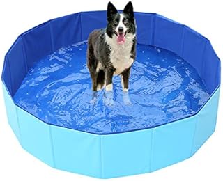ZYTSHOP Foldable swimming pool for dogs - PVC PVC pool for pets, children's swimming pool, non -slip folding bathtub, outdoor bath for small small cat dogs (80 * 30 cm, blue).. Shop smarter with Nigeria's premier e-commerce platform, featuring affordable products delivered nationwide.