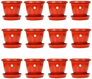 Plastic jar for kraft seeds with lower tray, batch of 12 (8 inch, red), porcelain flower pots with drainage hole and lower trays to avoid spours, durable containers for flower planting and home decoration.. DIAYTAR NIGERIA puts thousands of products at your fingertips with affordable prices and delivery within a week.