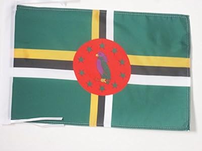 AZ FLAG Flag of Dominique 18 "X 12" - Small Dominique flags 30 x 45 cm - Banner 18 x 12 ".. Shop smarter with DIAYTAR NIGERIA's vast product range and budget-friendly delivery within the week.