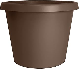 20.32 cm Primary Round Agriculture - HC Company 20.32 cm x 8.32 cm x 6.34 cm Round Plastic prima with chocolate rolled edge.. Fast delivery is our promise — DIAYTAR Nigeria keeps it real.