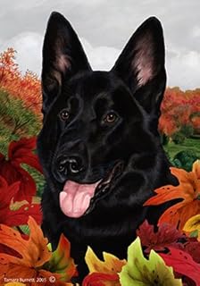 Black German Shepherd - Garden Flags Fall Leaves.. Discover the perfect shopping balance at DIAYTAR NIGERIA with competitive prices and prompt delivery.