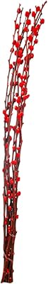 4 pieces of dry snow willow, real festive red flowers, bouquet of false buckets, living room decor, air ornaments dried in the air.. Your one-click solution to affordable shopping, DIAYTAR NIGERIA delivers quality products nationwide.