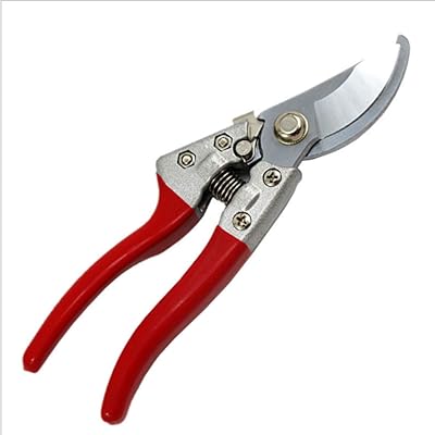 G-SOL Steel G-SOL SUCHOR-Best Arb, Garden Shears, Hand Size, Practical Gardening Tool for A effortless Cup (Red).. DIAYTAR NIGERIA transforms wishes into deliveries with our affordable and reliable e-commerce platform.