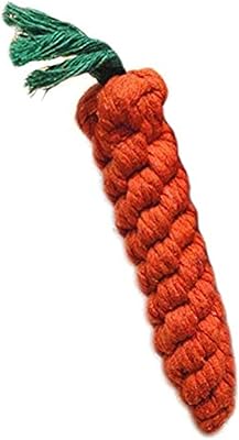Carrot chewing toy for hamster, mouse, guinea pig and rabbit (50g).. Experience retail satisfaction with DIAYTAR NIGERIA's comprehensive platform and prompt shipping service.