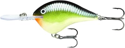 Personalized feather pen Rapala Eiki Dt (Dives-to) Crankbait series.. DIAYTAR NIGERIA: Revolutionizing how Nigerians shop with affordable prices and prompt delivery services.