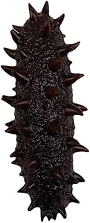 Sea cucumber simulation model children decoration ocean animal animals.. DIAYTAR NIGERIA delivers affordability and convenience to your doorstep within 8 days of purchase.