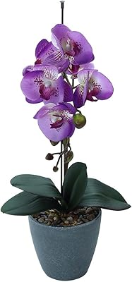 Yatai Real Touch artificial orchids - Artificial plants for home decoration - Artificial orchid with pot - Artificial flowers for table decorations and festival decorations (Violet).. DIAYTAR NIGERIA makes quality accessible with low prices and reliable 5-8 day nationwide delivery.