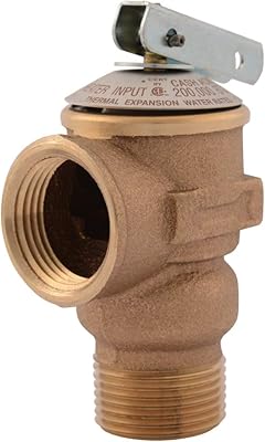 ACME RVL-RVL-2 3/4 inch ACME overpressure valve, bronze, 150 PSI, 14737-0150.. DIAYTAR NIGERIA brings the market to your fingertips with affordable prices and swift delivery services.