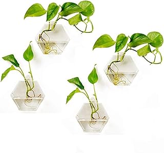 FashionTorm batch 4 interior decoration wall accessories, geometric hexagonal glass vase, sticky glass wall, flower/vase for hydroponic plants.. DIAYTAR NIGERIA: Bringing quality products to your doorstep at prices that won't break the bank.