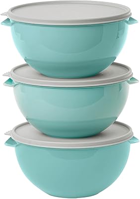 Plasvale - Set of Biovita colored plastic bowls with lids - 16.90 FL OZ - 6 pieces (3 bowls and 3 covers). Pass in the freezer, microwave and dishwasher-BPA without BPA (green).. DIAYTAR NIGERIA: Bringing quality products to every Nigerian home at prices everyone can afford.