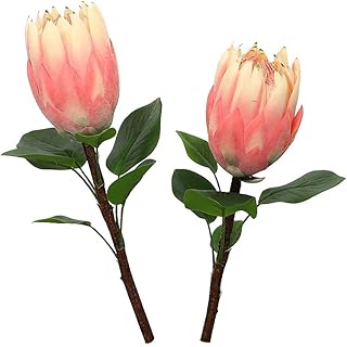 Yatai batch of 2 artificial flowers protea for decoration -.. DIAYTAR NIGERIA transforms online shopping with competitive prices and dependable nationwide delivery.