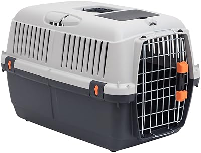 Dovo Plus Braco Iata Travel, Gris/Noir - 48 × 32 × 31 cm.. DIAYTAR NIGERIA makes online shopping accessible to all with budget-friendly prices and reliable delivery.