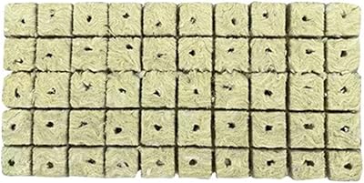 Jenny 50pcs plant growth caps for beginners in plant cultivation, planting cubes for rooting of plants, cutting, cloning plants, germination starting seeds 25 mm.. DIAYTAR NIGERIA: Your trusted e-commerce partner with extensive product choices and affordable delivery.